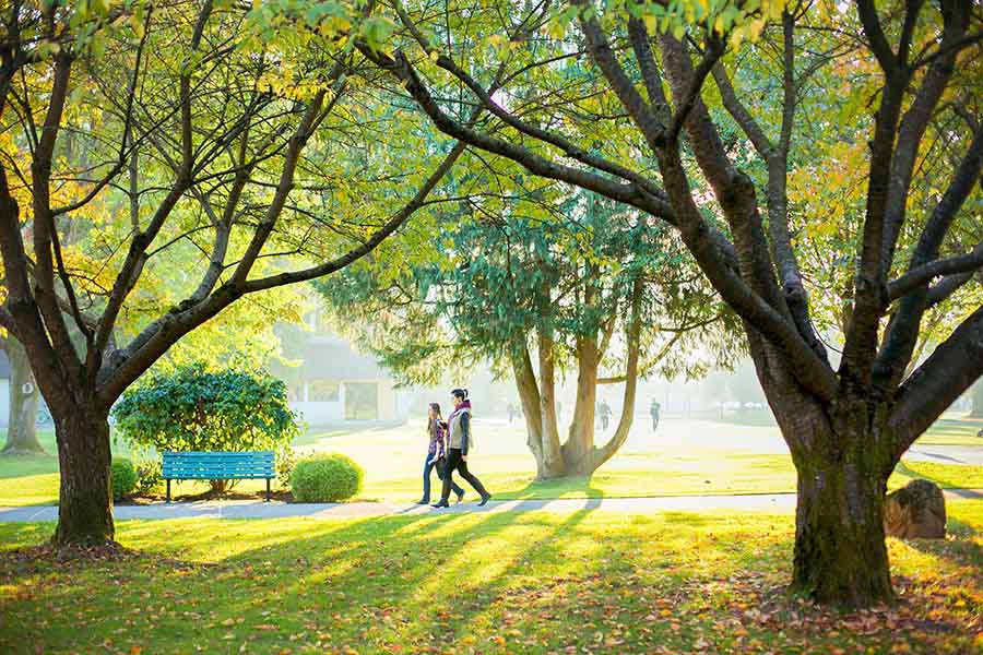 西三一大學